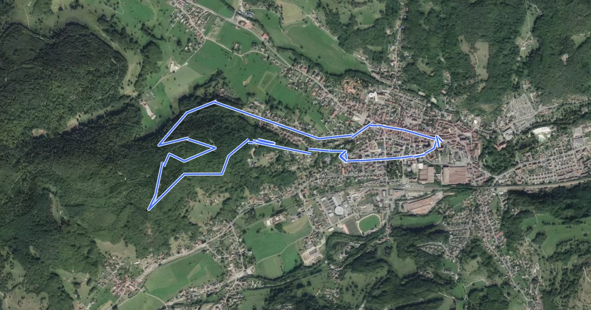 Маршрут Circuit du Moenchberg на спутниковом снимке