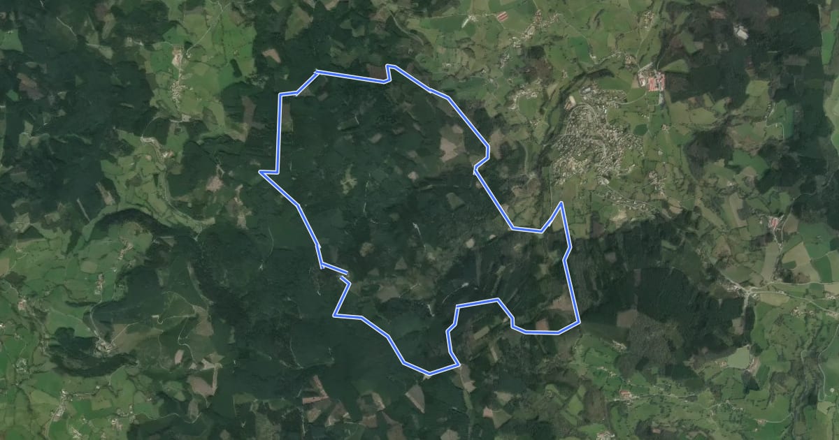 Маршрут Circuit du Mont Saint-Rigaud 12 km на спутниковом снимке