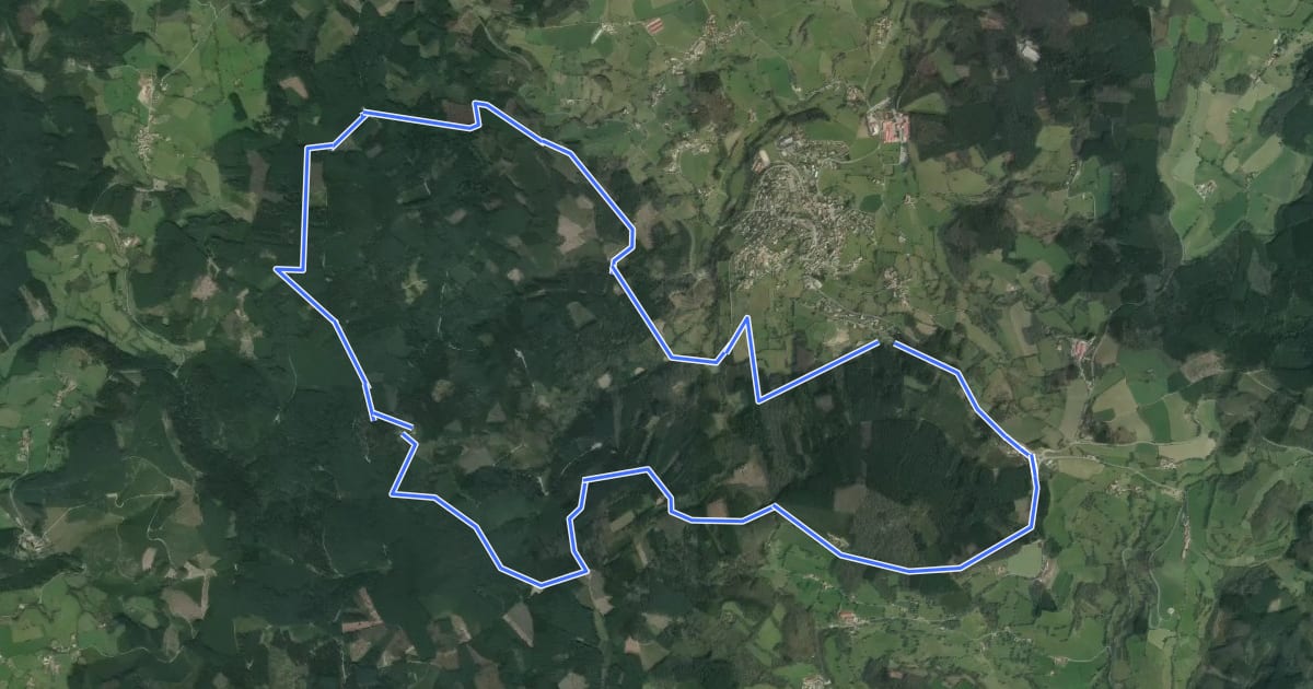 Маршрут Circuit du Mont Saint-Rigaud 15 km на спутниковом снимке