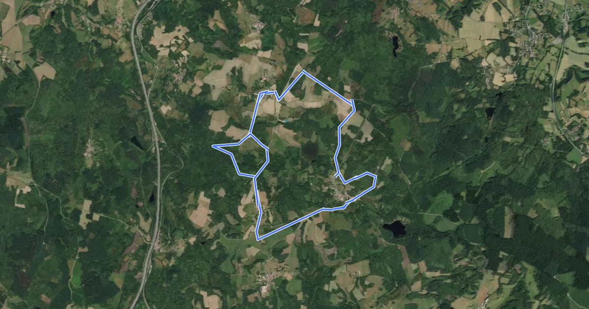 Маршрут Circuit du Moulin de Beaubiat на спутниковом снимке