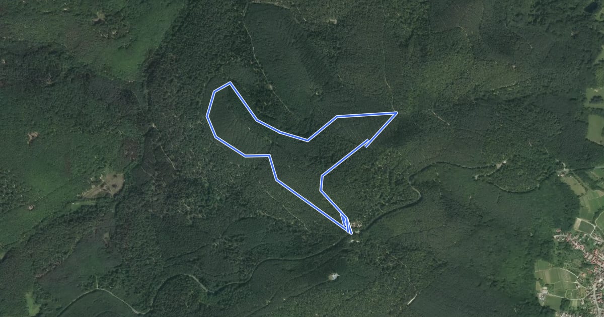 Маршрут Circuit du Muehlenkopf на спутниковом снимке
