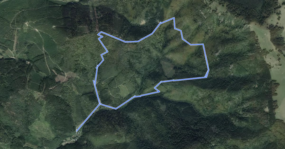 Маршрут Circuit du Nablaswald на спутниковом снимке