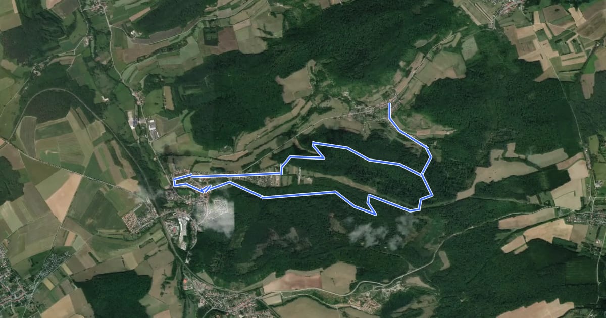 Маршрут Circuit du Nonnenfels на спутниковом снимке