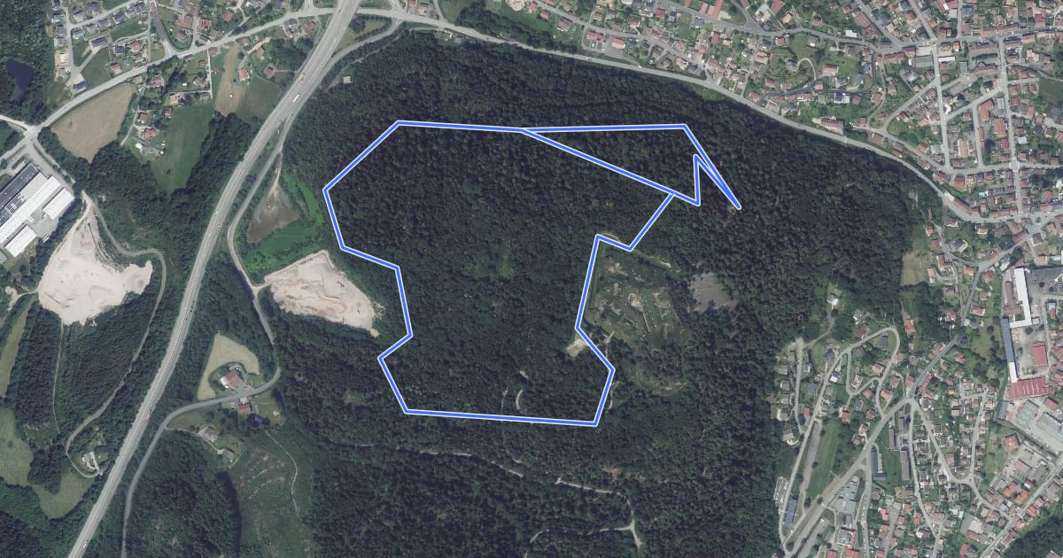 Маршрут Circuit du Parmont на спутниковом снимке