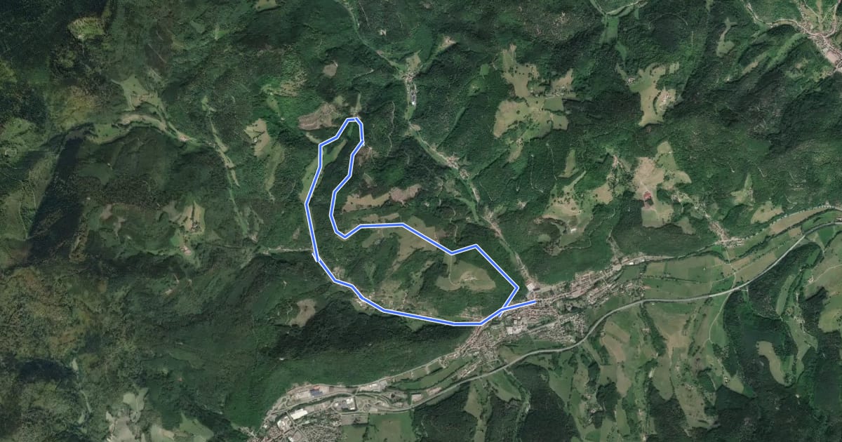 Маршрут Circuit du Petit Rombach на спутниковом снимке