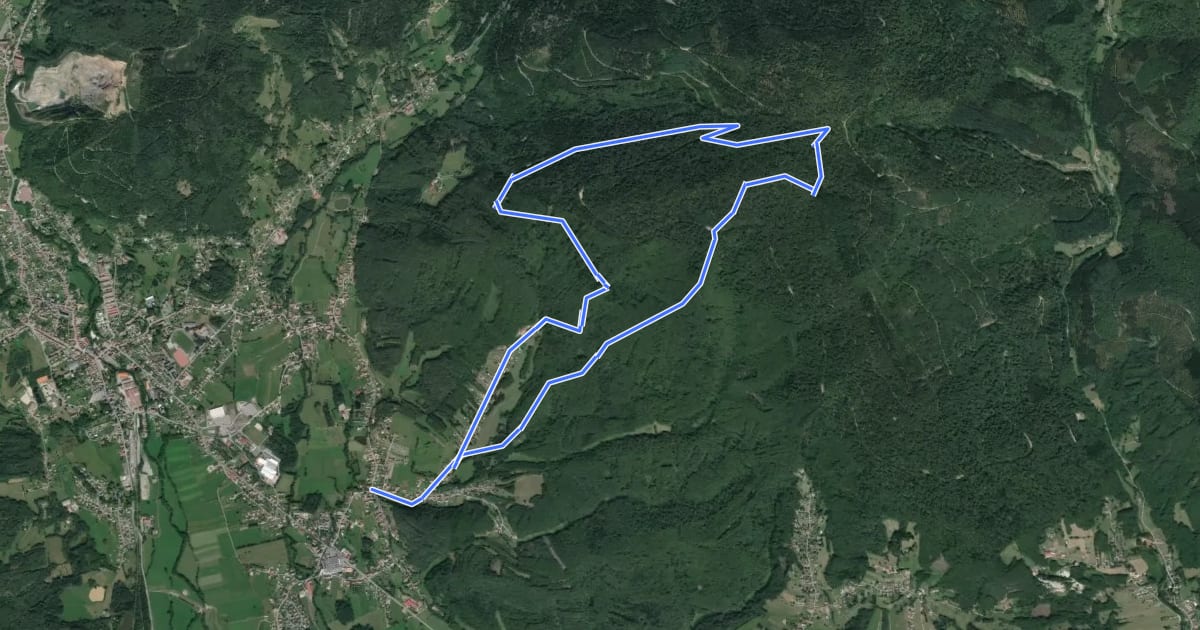 Маршрут Circuit du Plain Baleroy на спутниковом снимке