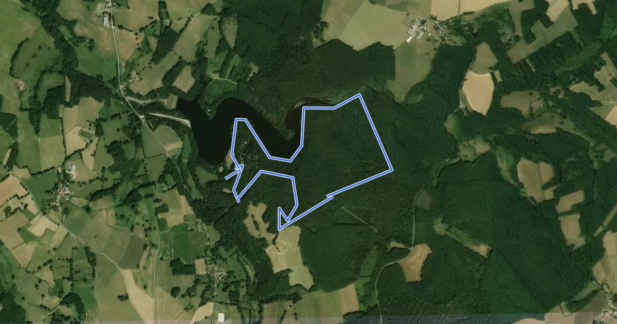 Маршрут Circuit du Pont à l'Age на спутниковом снимке