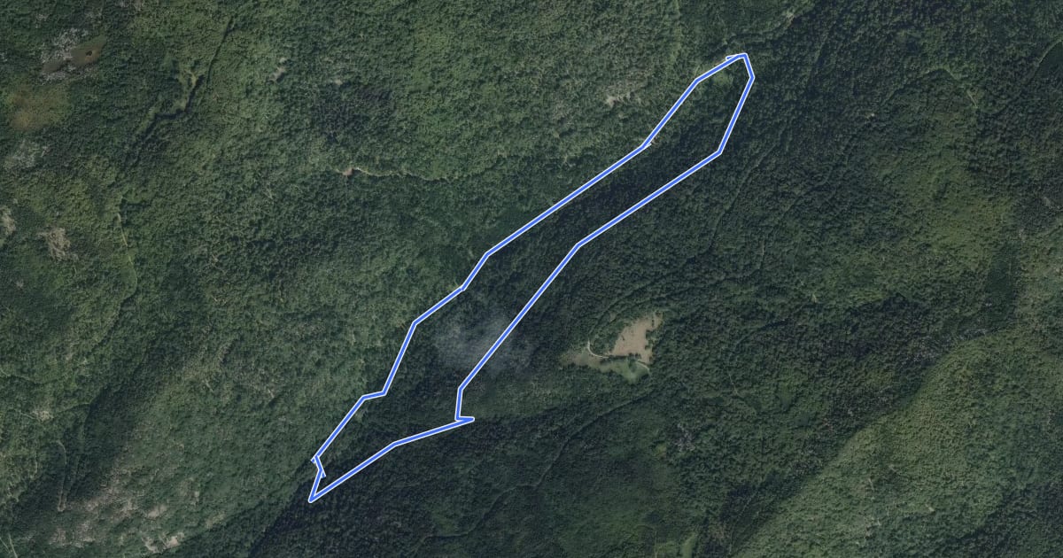Маршрут Circuit du Refuge de la Vieille Hutte на спутниковом снимке