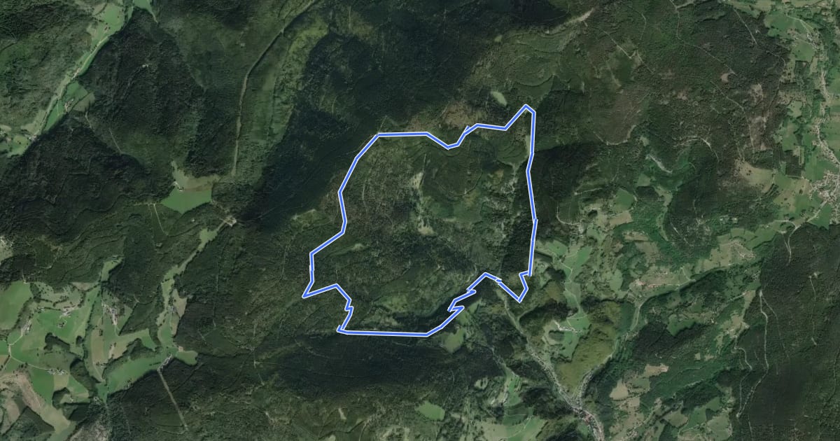 Маршрут Circuit du Rehberg на спутниковом снимке