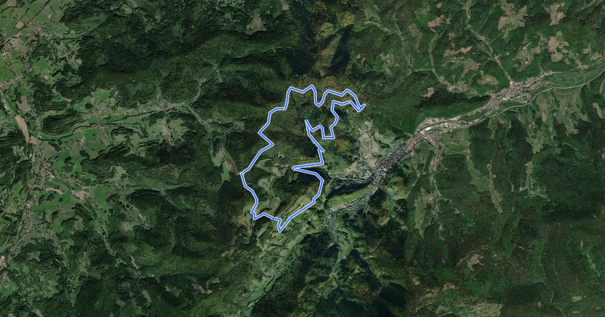 Маршрут Circuit du Robinot на спутниковом снимке
