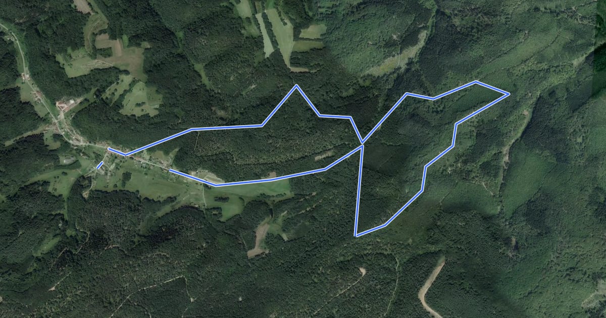 Маршрут Circuit du rocher de l'Altschlossfelsen на спутниковом снимке