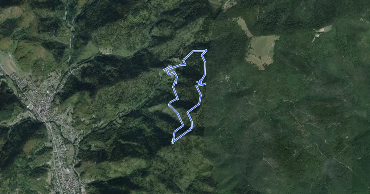 Маршрут Circuit du rocher de l’Ostein на спутниковом снимке