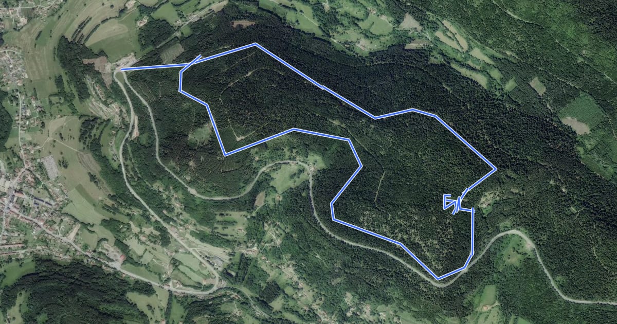 Маршрут Circuit du Rocher du Hangochet на спутниковом снимке