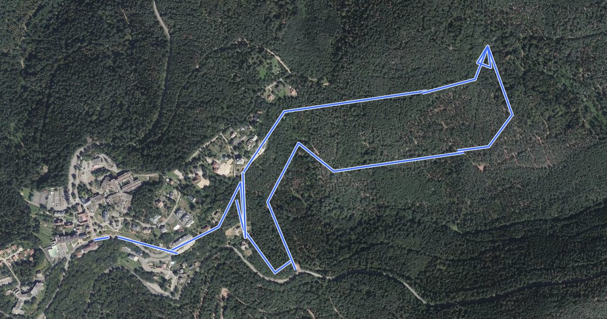 Маршрут Circuit du Rocher du Pfaffenrod на спутниковом снимке