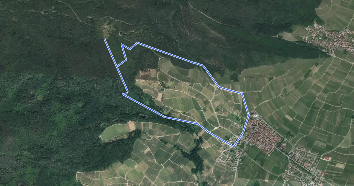 Маршрут Circuit du Rocher du Sanglier на спутниковом снимке