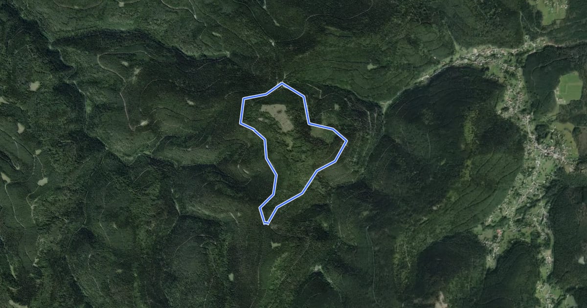 Маршрут Circuit du Rosskopf на спутниковом снимке