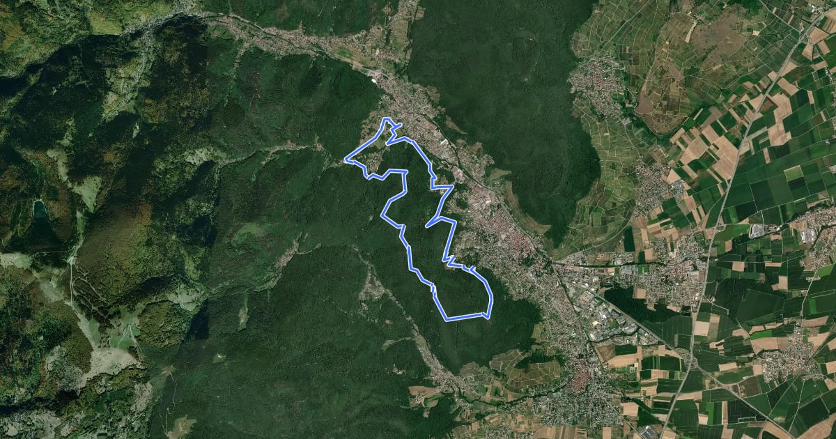 Маршрут Circuit du Rosstall на спутниковом снимке