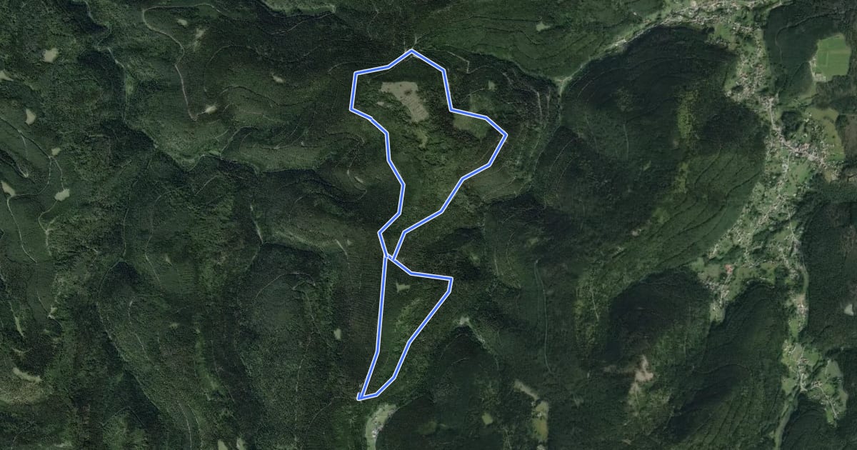 Маршрут Circuit du Sandplatz на спутниковом снимке