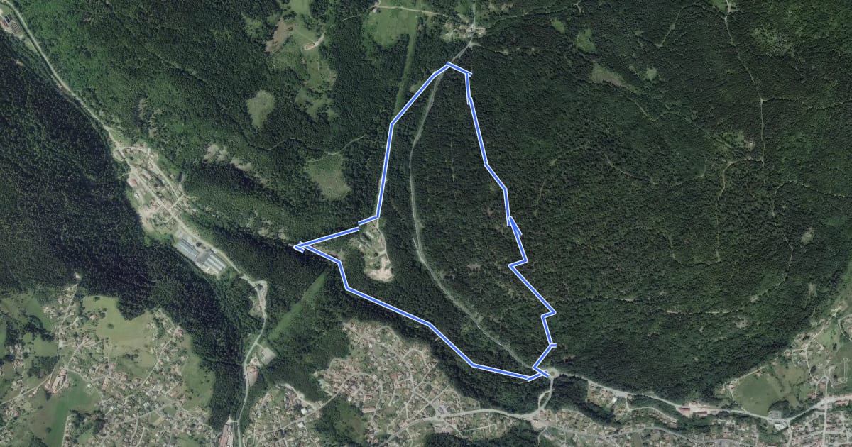 Маршрут Circuit du Saut des Cuves на спутниковом снимке