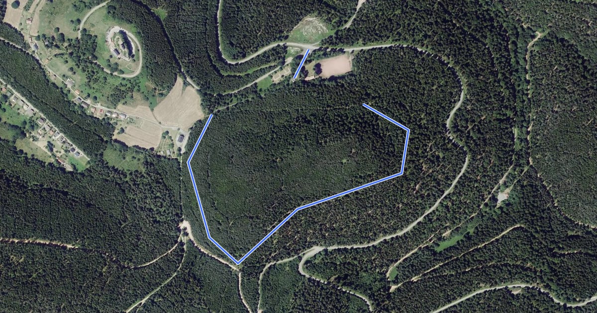Маршрут Circuit du Schlosskopf на спутниковом снимке