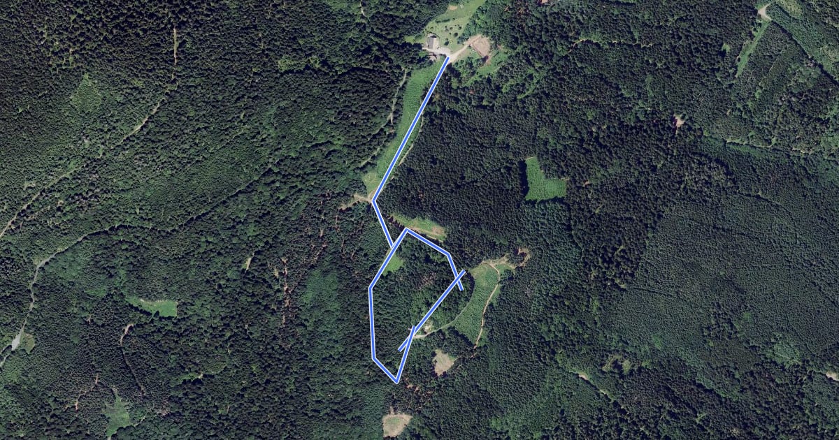 Маршрут Circuit du Spitzemberg на спутниковом снимке