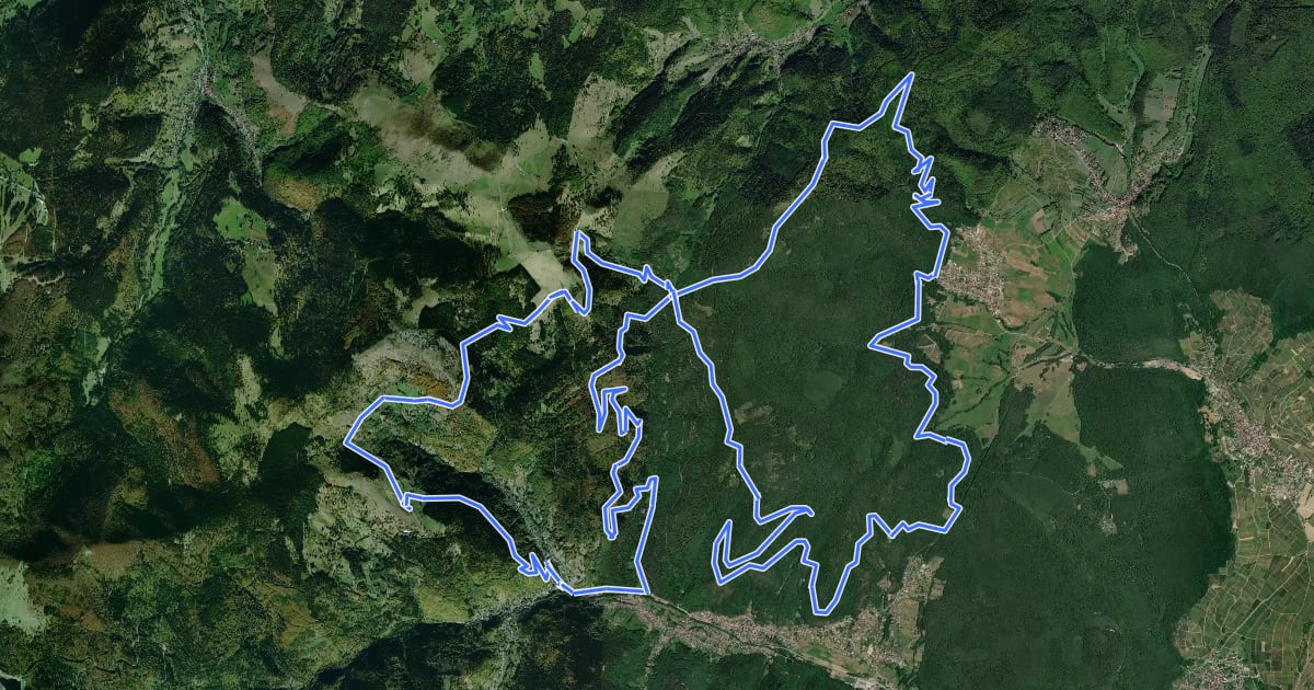 Маршрут Circuit du Strohberg на спутниковом снимке