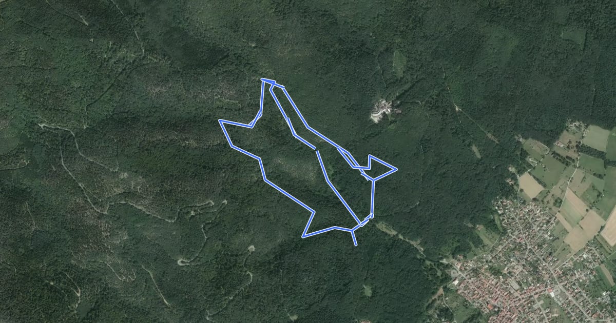 Маршрут Circuit du Thalmatten на спутниковом снимке