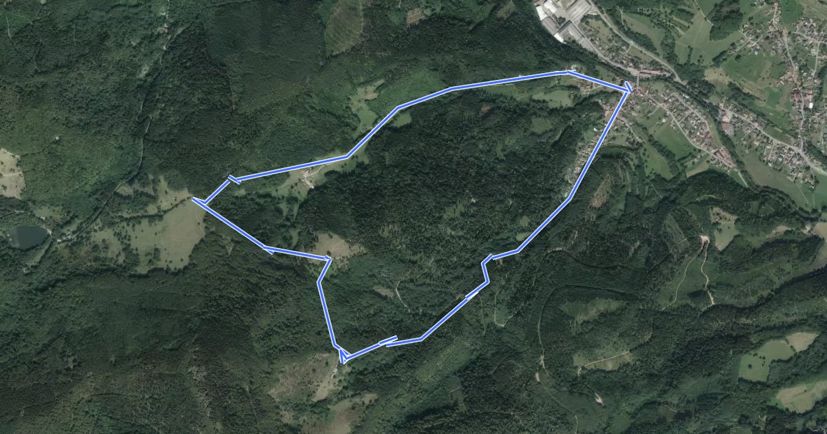 Маршрут Circuit du Triebelskopf на спутниковом снимке