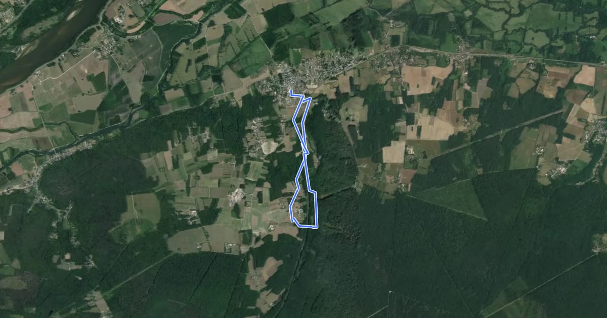 Маршрут Circuit du Turpenay - Rivarennes на спутниковом снимке