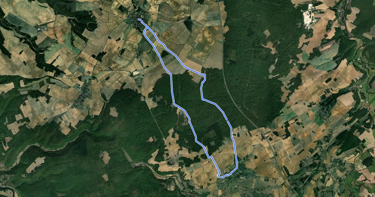 Маршрут Circuit du Val de la Nef (Grande boucle) на спутниковом снимке