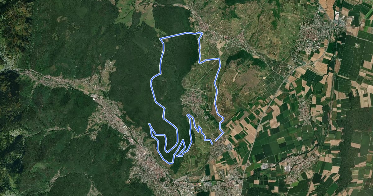 Маршрут Circuit du Val du Pâtre на спутниковом снимке