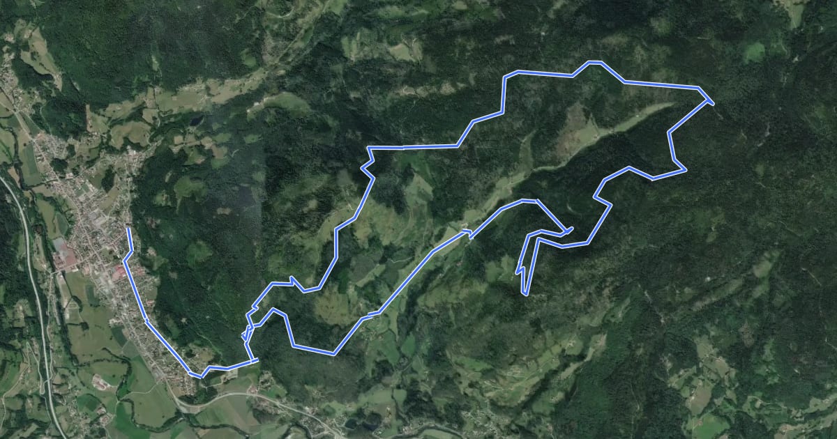 Маршрут Circuit du Vallon de Grandrupt на спутниковом снимке