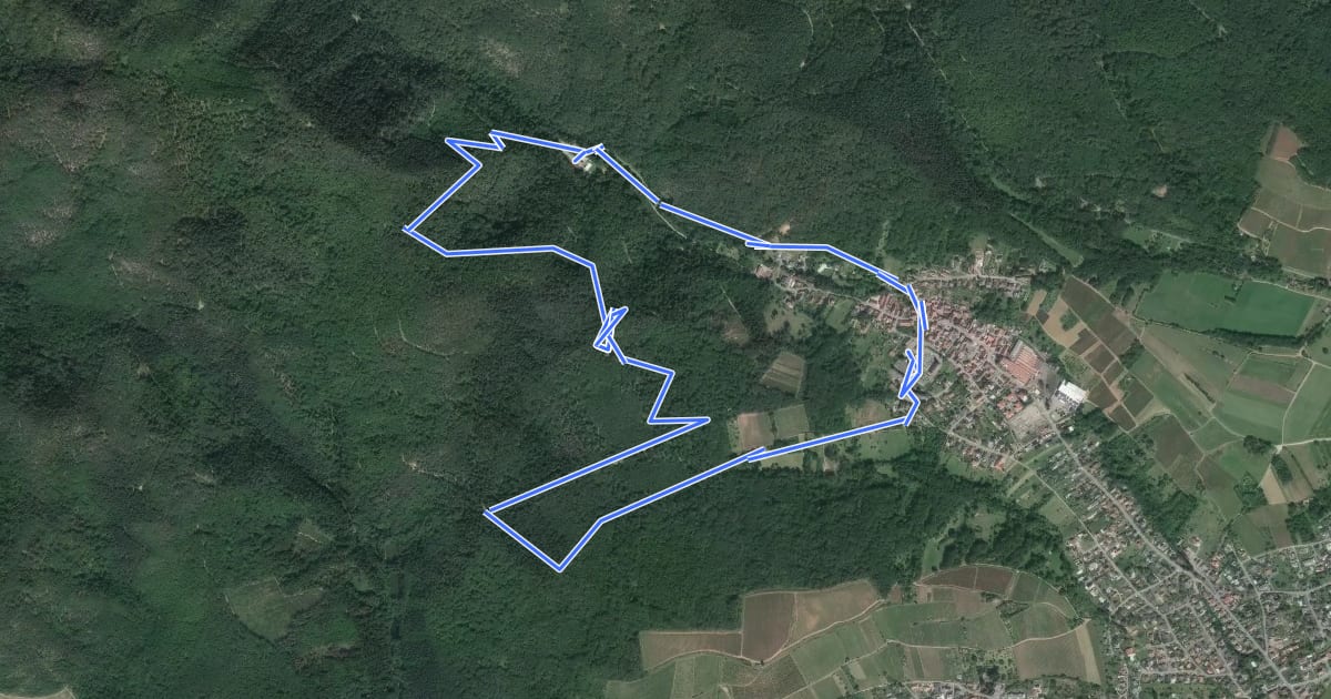 Маршрут Circuit du vallon de Steinbach на спутниковом снимке