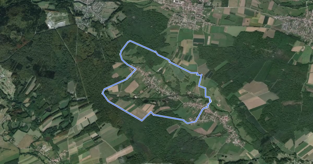 Маршрут Circuit du vallon du Soultzbach Ouest на спутниковом снимке