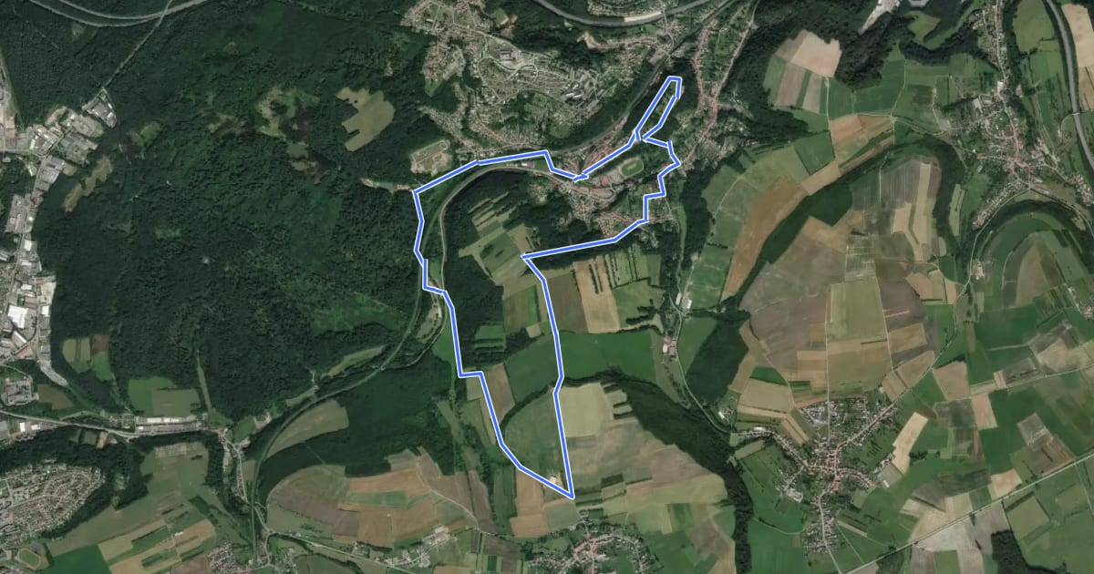 Маршрут Circuit du Vieux Hombourg на спутниковом снимке