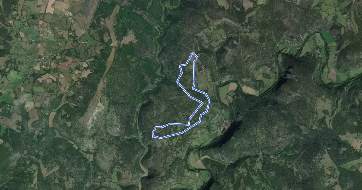 Маршрут Circuit ENS les caselles de Marcilhac на спутниковом снимке