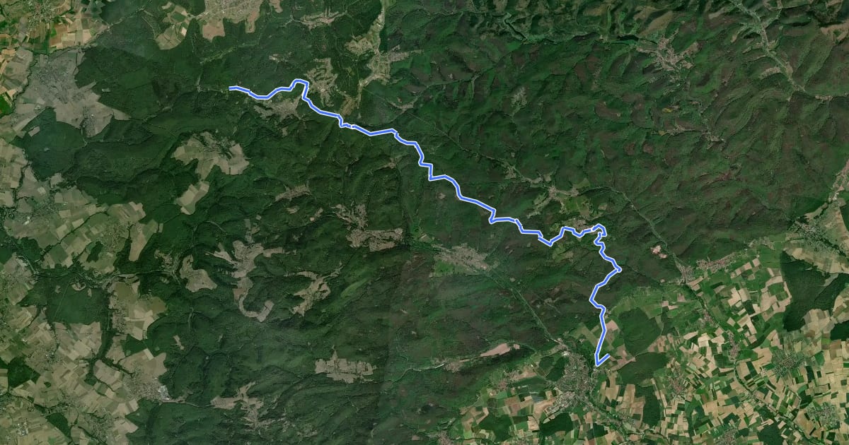 Маршрут Circuit entre l’Alsace et la Moselle-section 1 на спутниковом снимке