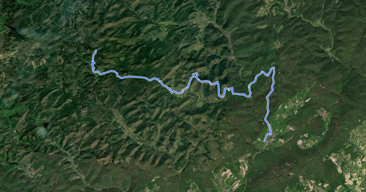 Маршрут Circuit entre l’Alsace et la Moselle-section 4 на спутниковом снимке