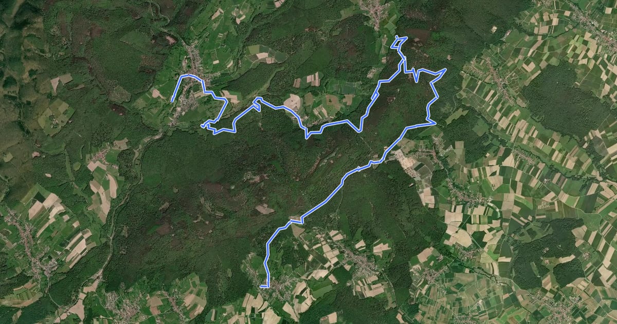 Маршрут Circuit entre l’Alsace et la Moselle-section 5 на спутниковом снимке