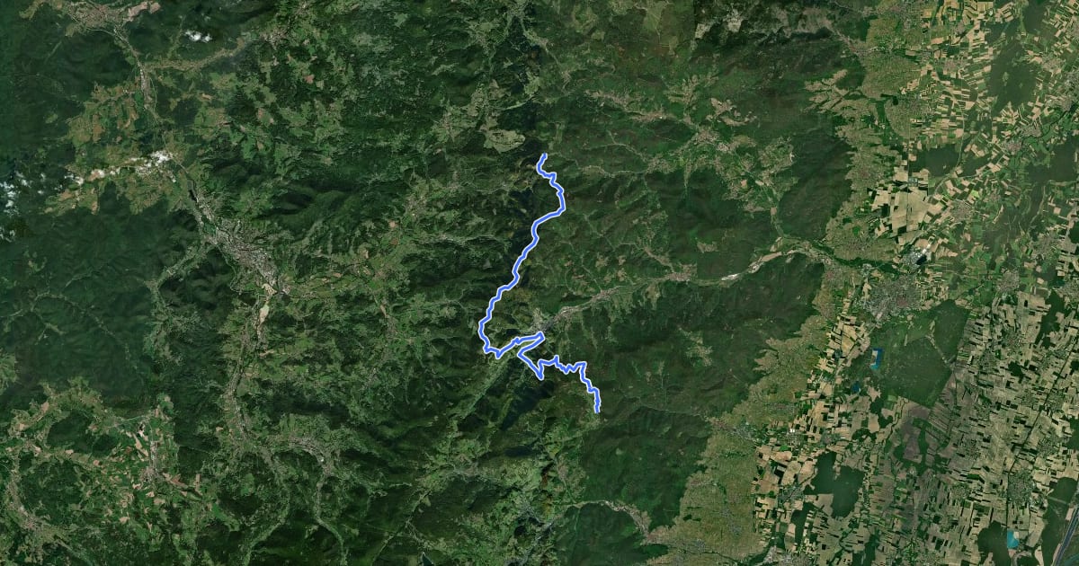 Маршрут Circuit entre l’Alsace et les Vosges-section 2 на спутниковом снимке