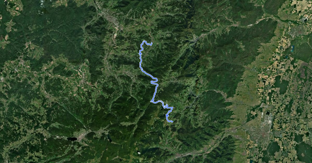Маршрут Circuit entre l’Alsace et les Vosges-section 5 на спутниковом снимке