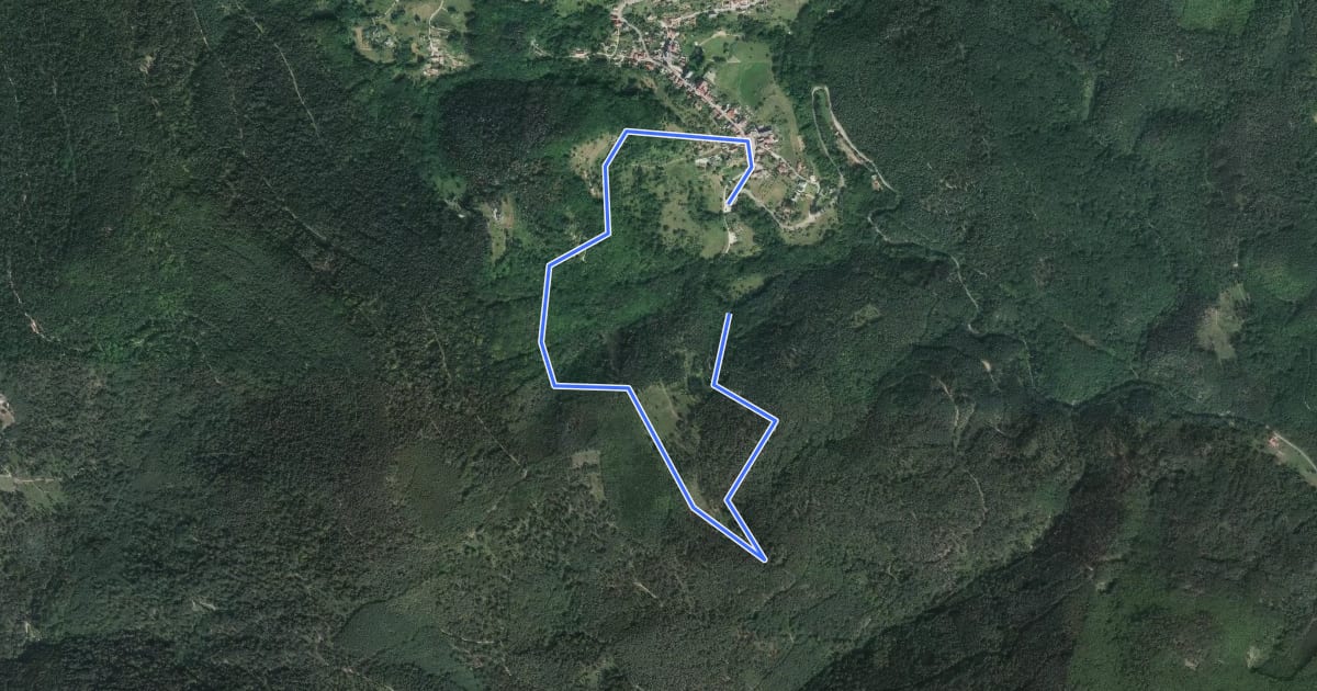 Маршрут Circuit Eulental на спутниковом снимке