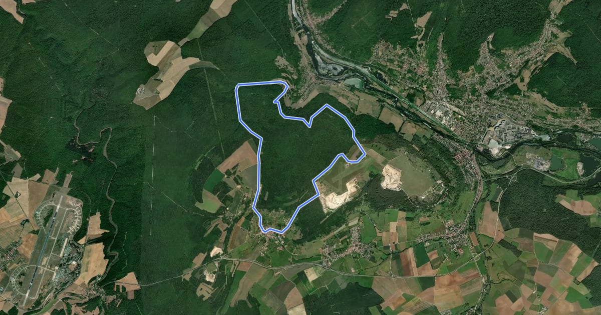 Маршрут Circuit F1 на спутниковом снимке