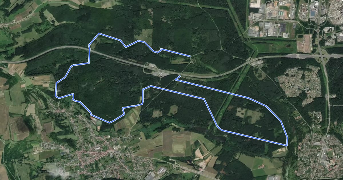 Маршрут Circuit Forêt du Warndt на спутниковом снимке