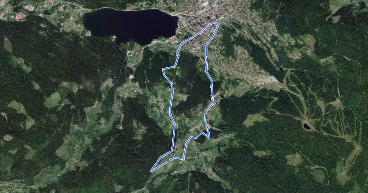 Маршрут Circuit Gérardmer - Les Bas Rupts на спутниковом снимке