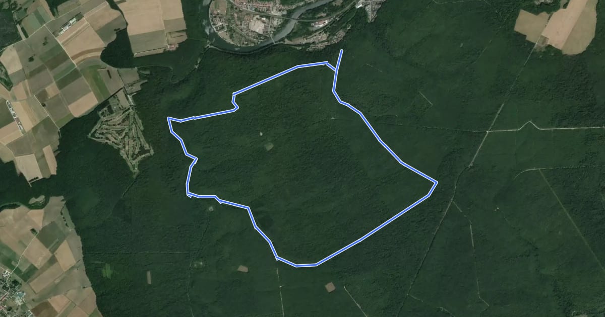 Маршрут Circuit H на спутниковом снимке