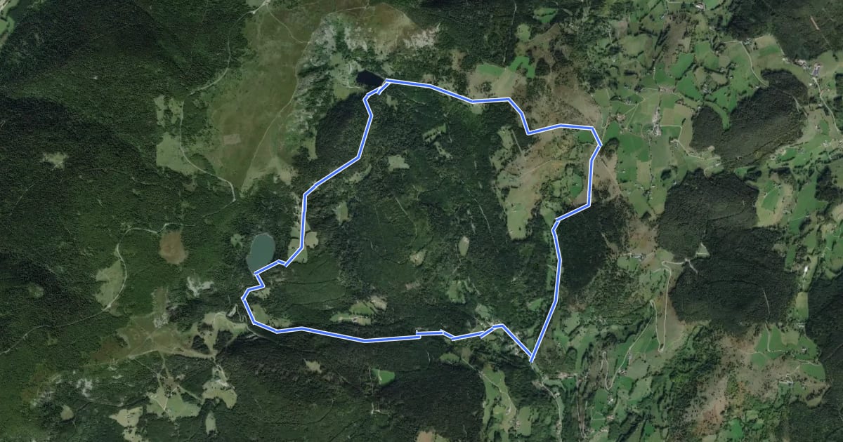 Маршрут Circuit Hirsteren - Lac du Forlet на спутниковом снимке