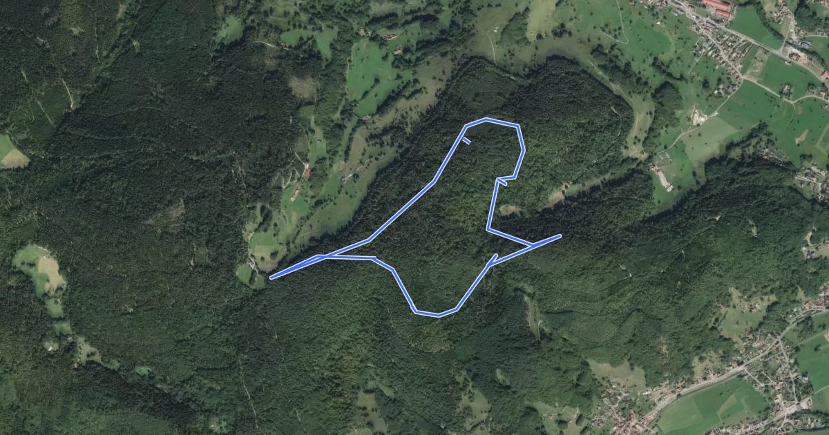 Маршрут Circuit Historique 1914-1918 Gaschney-Reichakerkopf n°2 на спутниковом снимке