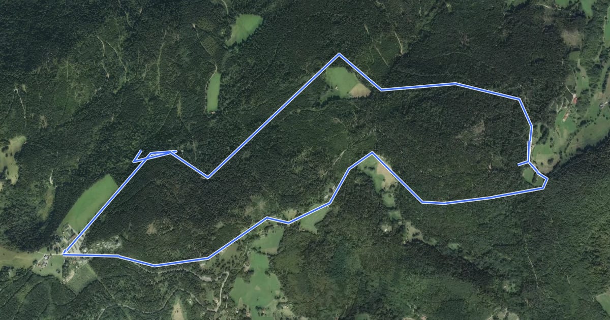 Маршрут Circuit Historique 1914-1918 Gaschney-Reichakerkopf N°3 на спутниковом снимке