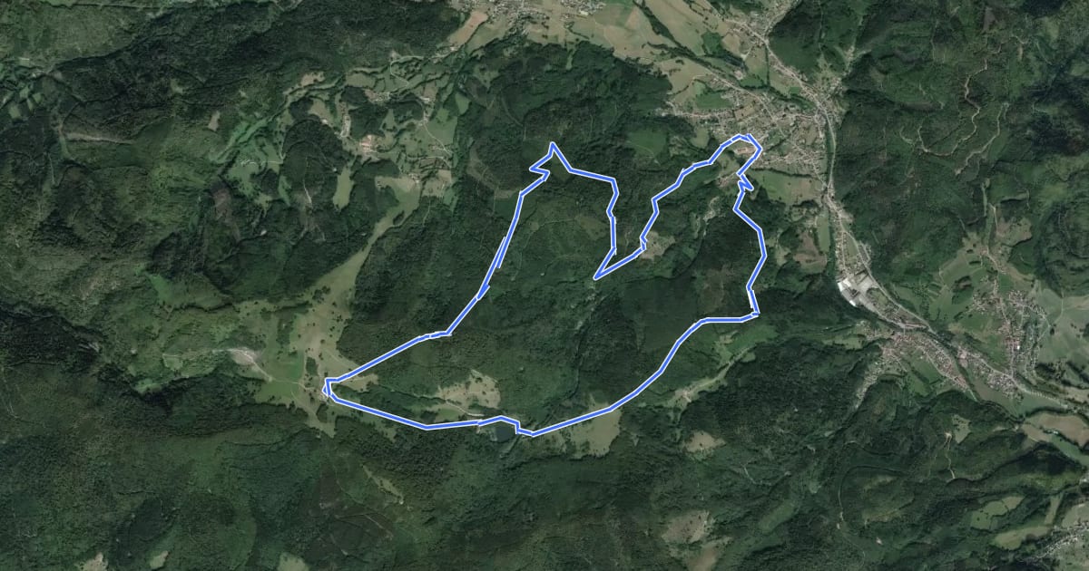 Маршрут Circuit Kirchberg - Lachtelweiher на спутниковом снимке